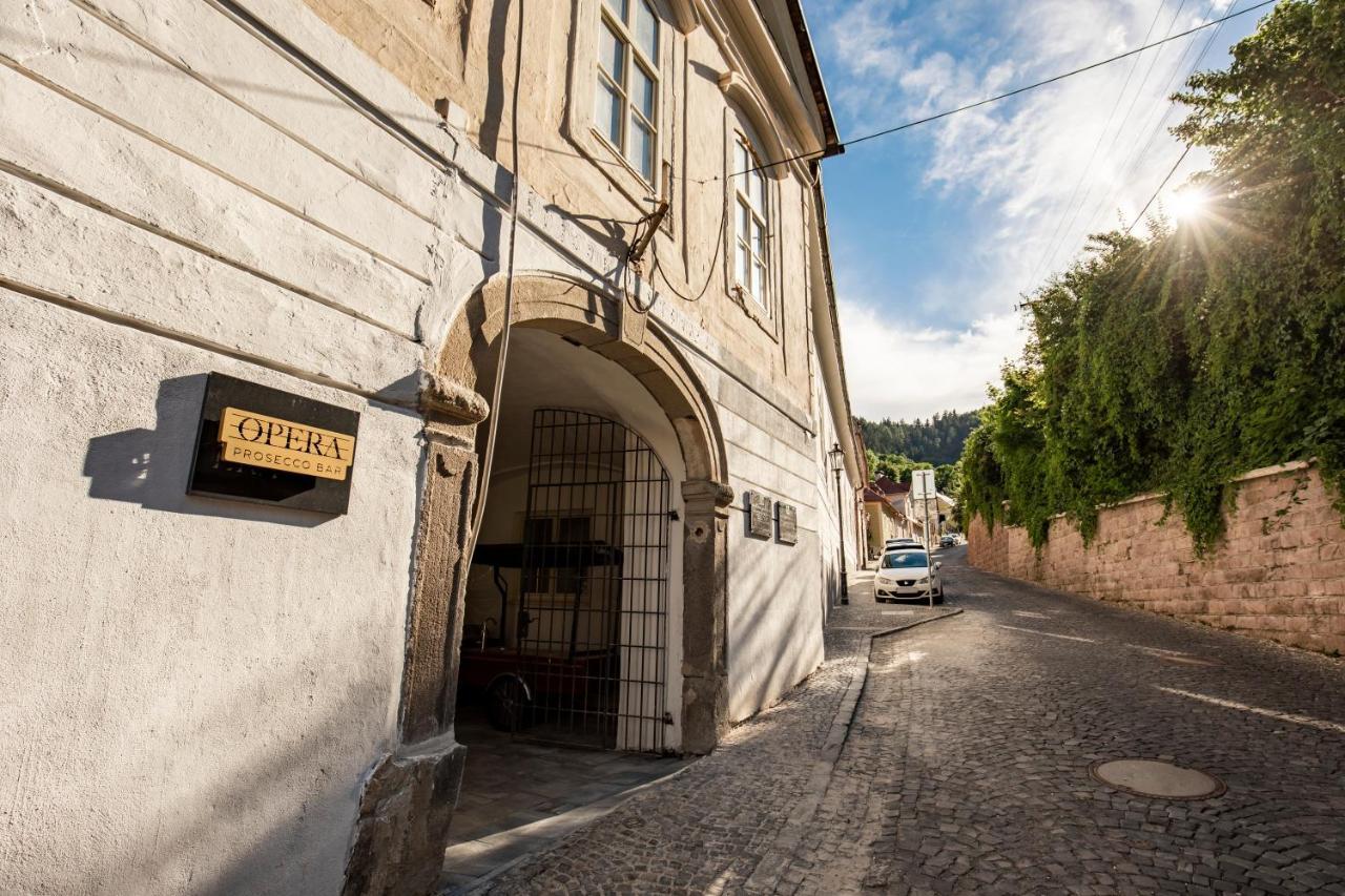 Apartmán Blue Moon Banská Štiavnica Esterno foto